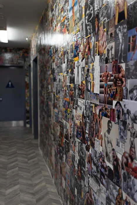 South Bay Strength Company Picture 2