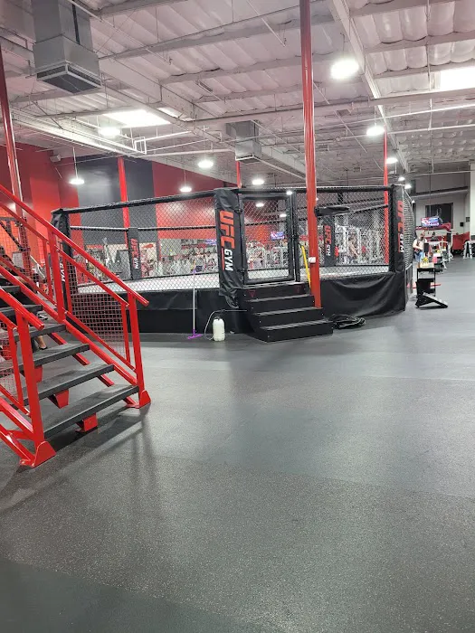 UFC GYM Torrance Picture 8