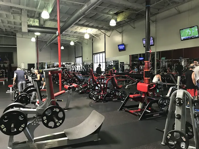 UFC GYM Torrance Picture 2