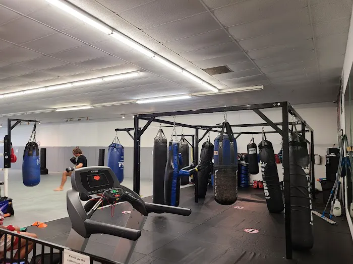 Boxing Works Picture 9