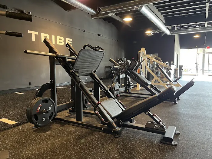 Tribe Fitness Picture 10