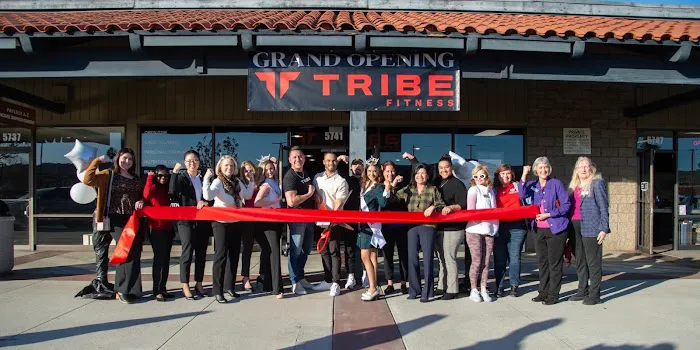 Tribe Fitness Picture 1