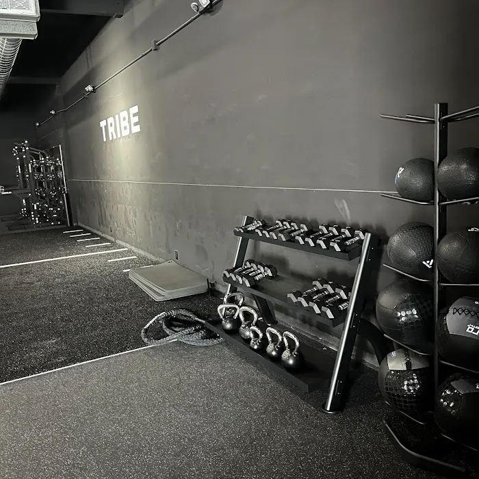 Tribe Fitness Picture 7