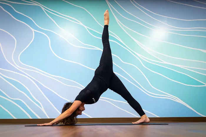 Nuzuna Costa Mesa Picture 10