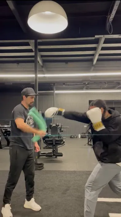 Paulie Boxing Picture 2