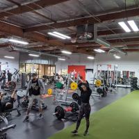 Embrace the Process ico