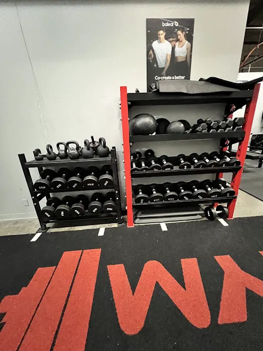 Rebel Strength Picture 9