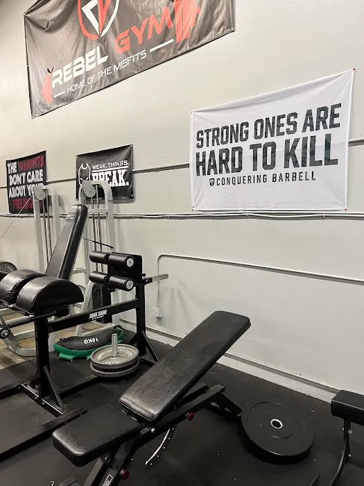 Rebel Strength Picture 1