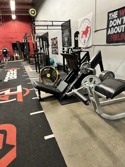 Rebel Strength Picture 4