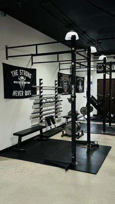 Rebel Strength Picture 3