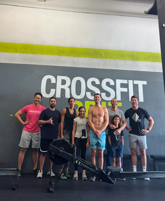 Crossfit Brit Picture 4