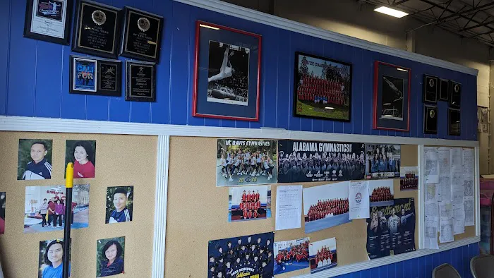 South Coast Gymnastics Picture 3