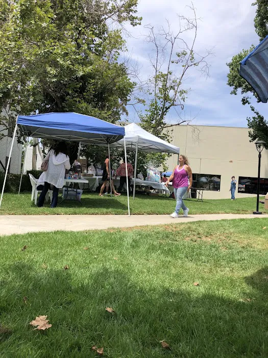 South Coast Gymnastics Picture 10