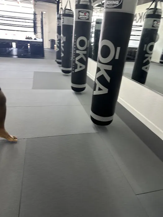 ŌKA Kickboxing Club Picture 1