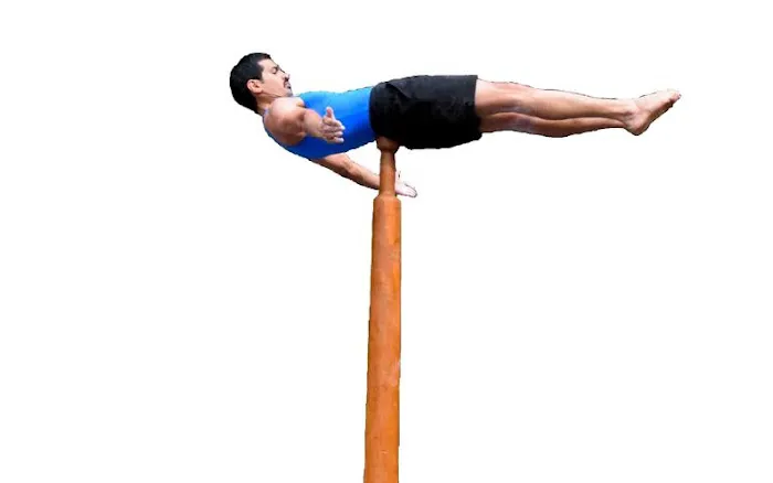 Mallakhamb Federation USA Picture 1