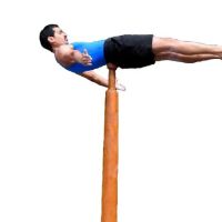 Mallakhamb Federation USA ico