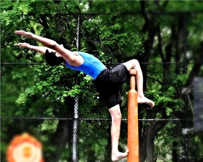 Mallakhamb Federation USA Picture 4