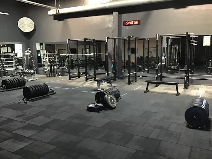 Reflex Performance Picture 7