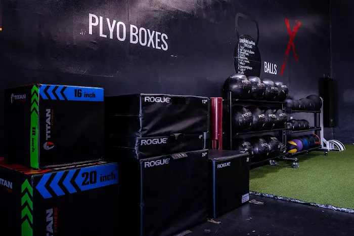 Reflex Performance Picture 9