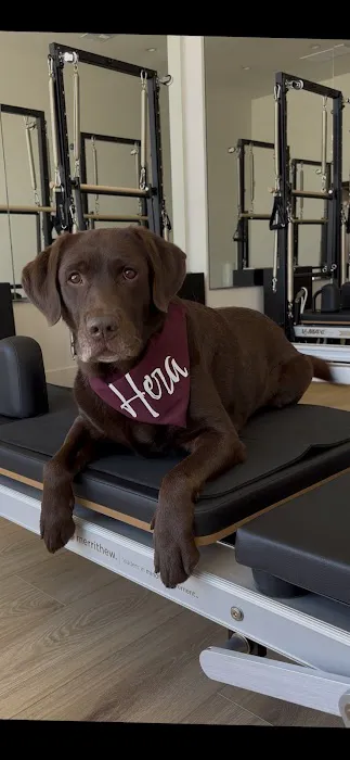 Hera Pilates LA Picture 1