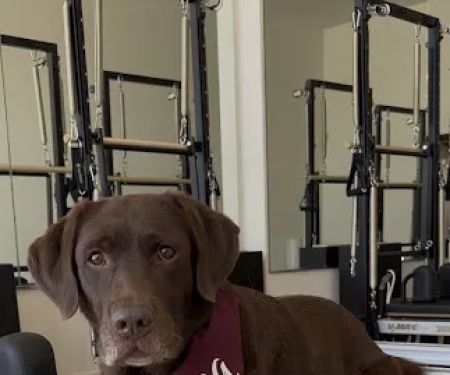 Hera Pilates LA
