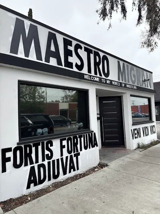 Maestro Migran Picture 1