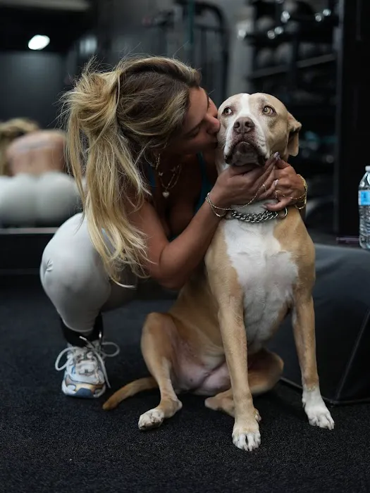 Gluteology Picture 10