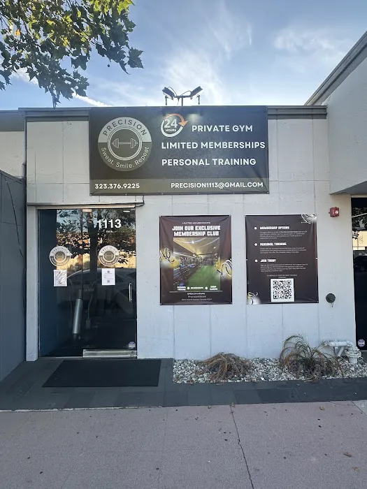 Precision Gym Picture 4