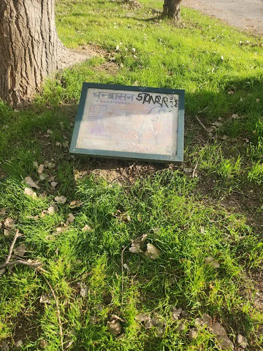 Yoga Fitness Riverwalk Picture 1
