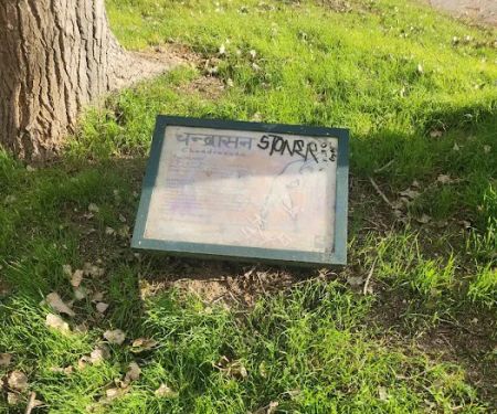 Yoga Fitness Riverwalk