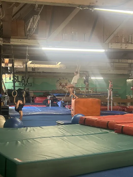 Mats Gymnastics & Physical Fitness Center Picture 2