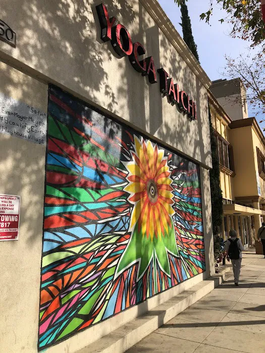 Body & Brain Yoga Tai Chi Picture 7