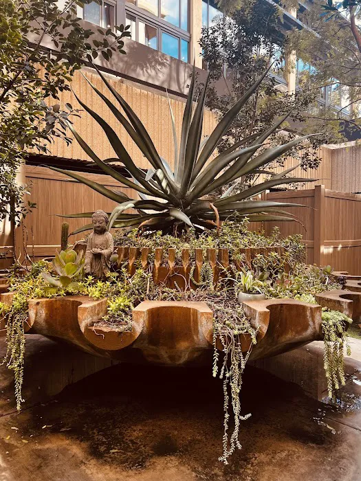 Hot 8 Yoga Picture 10