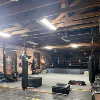 Classic Kickboxing ico