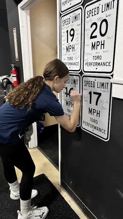 TORO Performance Picture 1