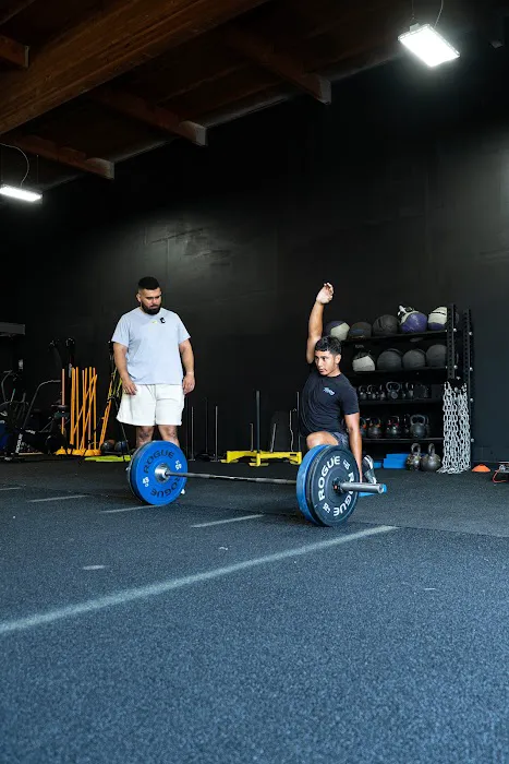 TORO Performance Picture 3