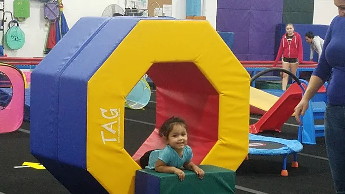 Stars Gymnastics LLC Picture 4