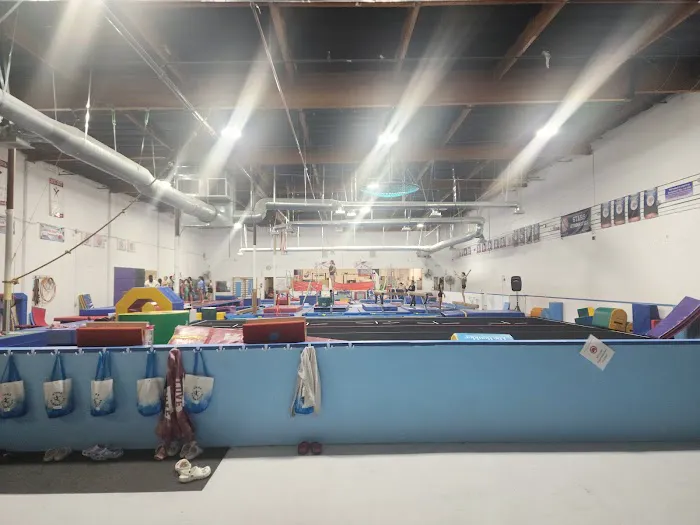 Stars Gymnastics LLC Picture 3
