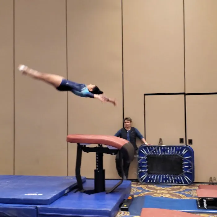 Stars Gymnastics LLC Picture 7