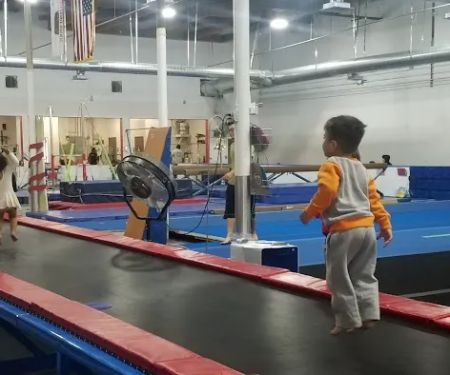 Stars Gymnastics LLC