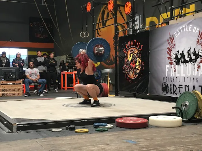 CrossFit Insurgent Walnut Picture 1