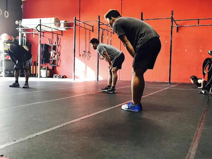 CrossFit Insurgent Walnut Picture 4