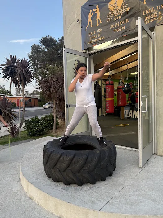 The Art of Boxing Gym Picture 4