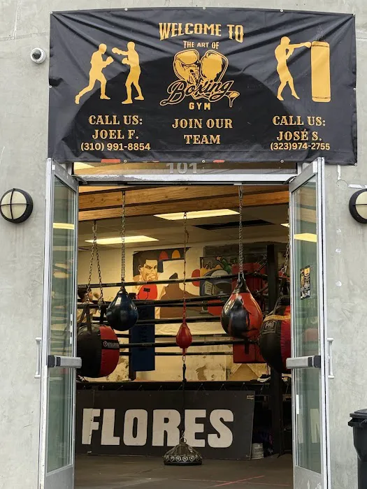 The Art of Boxing Gym Picture 2