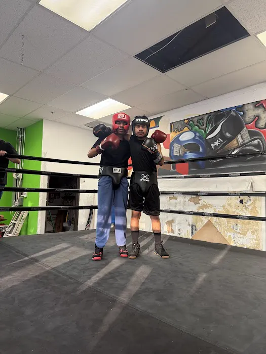 The Art of Boxing Gym Picture 6