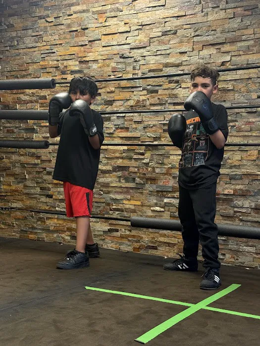 The Art of Boxing Gym Picture 10