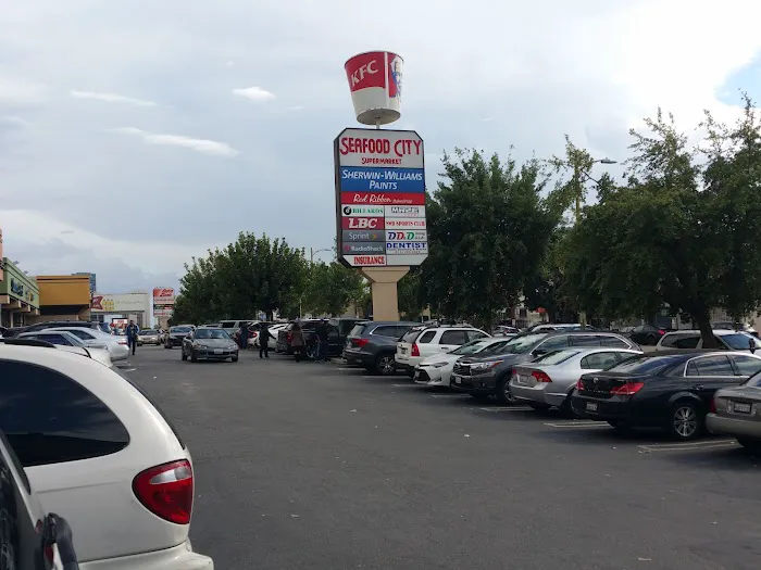 SWD sports club Picture 7