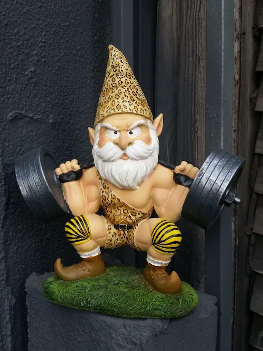 Academy Of Strength And Sport Picture 8