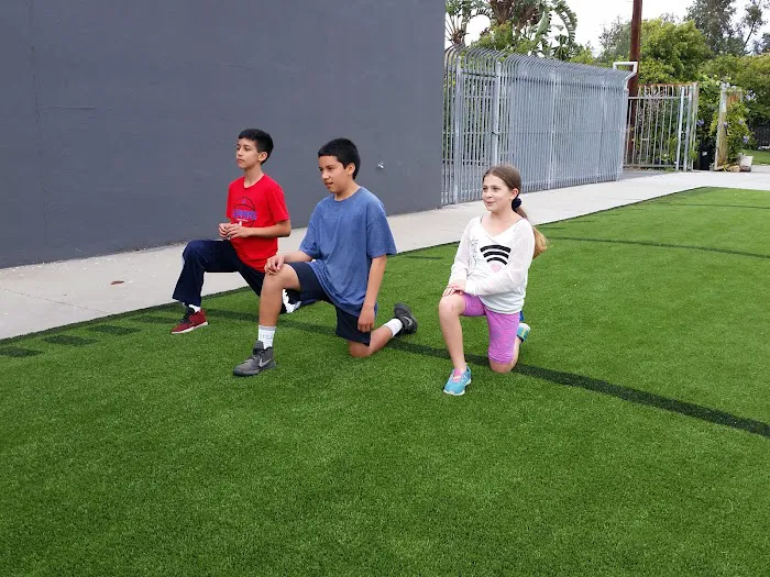 Academy Of Strength And Sport Picture 2