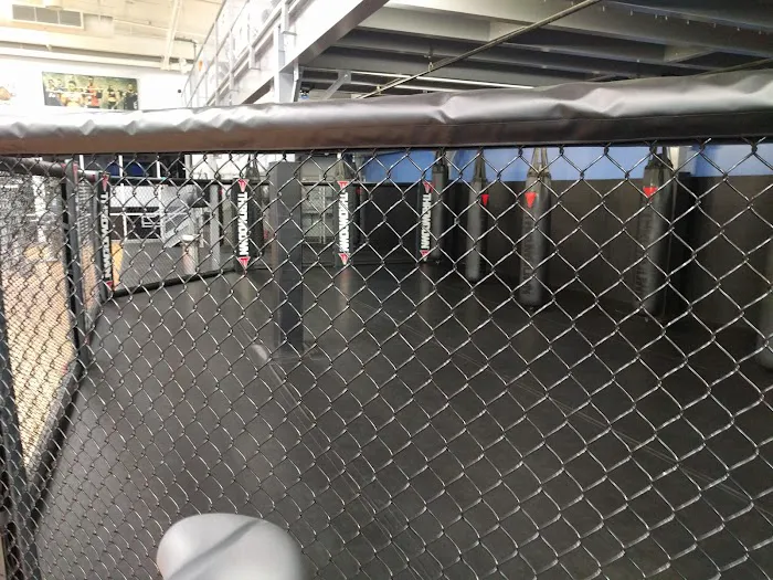 Coast Fitness - South Bay Picture 6